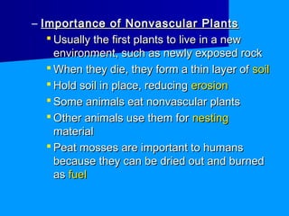 – Importance of Nonvascular Plants
    Usually the first plants to live in a new
     environment, such as newly exposed rock
    When they die, they form a thin layer of soil
    Hold soil in place, reducing erosion
    Some animals eat nonvascular plants
    Other animals use them for nesting
     material
    Peat mosses are important to humans
     because they can be dried out and burned
     as fuel
 