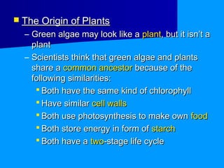  The Origin of Plants
  – Green algae may look like a plant, but it isn’t a
    plant
  – Scientists think that green algae and plants
    share a common ancestor because of the
    following similarities:
      Both have the same kind of chlorophyll
      Have similar cell walls
      Both use photosynthesis to make own food
      Both store energy in form of starch
      Both have a two-stage life cycle
 