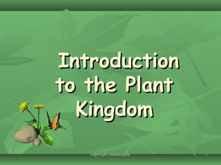 11
IntroductionIntroduction
to the Plantto the Plant
KingdomKingdom
copyright cmassengalecopyright cmassengale
 