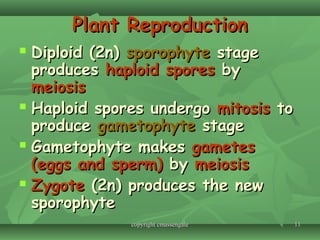 1111
Plant ReproductionPlant Reproduction
 Diploid (2n)Diploid (2n) sporophytesporophyte stagestage
producesproduces haploid sporeshaploid spores byby
meiosismeiosis
 Haploid spores undergoHaploid spores undergo mitosismitosis toto
produceproduce gametophytegametophyte stagestage
 Gametophyte makesGametophyte makes gametesgametes
(eggs and sperm)(eggs and sperm) byby meiosismeiosis
 ZygoteZygote (2n) produces the new(2n) produces the new
sporophytesporophyte
copyright cmassengalecopyright cmassengale
 