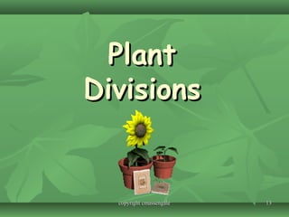 1313
PlantPlant
DivisionsDivisions
copyright cmassengalecopyright cmassengale
 
