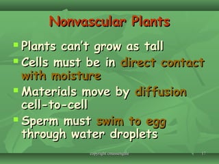 1717
Nonvascular PlantsNonvascular Plants
 Plants can’t grow as tallPlants can’t grow as tall
 Cells must be inCells must be in direct contactdirect contact
with moisturewith moisture
 Materials move byMaterials move by diffusiondiffusion
cell-to-cellcell-to-cell
 Sperm mustSperm must swim to eggswim to egg
through water dropletsthrough water droplets
copyright cmassengalecopyright cmassengale
 