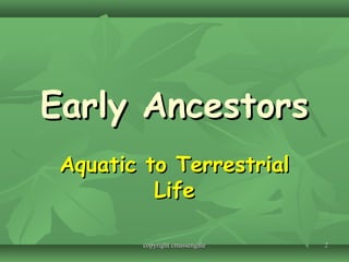 22
Early AncestorsEarly Ancestors
Aquatic to TerrestrialAquatic to Terrestrial
LifeLife
copyright cmassengalecopyright cmassengale
 