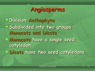 2626
AngiospermsAngiosperms
 DivisionDivision AnthophytaAnthophyta
 Subdivided into two groups –Subdivided into two groups –
Monocots and DicotsMonocots and Dicots
 MonocotsMonocots have a single seedhave a single seed
cotyledoncotyledon
 DicotsDicots have two seed cotyledonshave two seed cotyledons
copyright cmassengalecopyright cmassengale
 