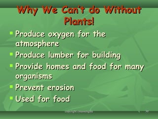 3030
Why We Can’t do WithoutWhy We Can’t do Without
Plants!Plants!
 Produce oxygen for theProduce oxygen for the
atmosphereatmosphere
 Produce lumber for buildingProduce lumber for building
 Provide homes and food for manyProvide homes and food for many
organismsorganisms
 Prevent erosionPrevent erosion
 Used for foodUsed for food
copyright cmassengalecopyright cmassengale
 
