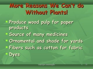 3131
More Reasons We Can’t doMore Reasons We Can’t do
Without Plants!Without Plants!
 Produce wood pulp for paperProduce wood pulp for paper
productsproducts
 Source of many medicinesSource of many medicines
 Ornamental and shade for yardsOrnamental and shade for yards
 Fibers such as cotton for fabricFibers such as cotton for fabric
 DyesDyes
copyright cmassengalecopyright cmassengale
 