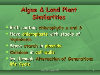 44
Algae & Land PlantAlgae & Land Plant
SimilaritiesSimilarities
 Both containBoth contain chlorophyllschlorophylls aa andand bb
 HaveHave chloroplastschloroplasts with stacks ofwith stacks of
thylakoidsthylakoids
 StoreStore starchstarch inin plastidsplastids
 CelluloseCellulose inin cell wallscell walls
 Go throughGo through Alternation of GenerationsAlternation of Generations
life Cyclelife Cycle
copyright cmassengalecopyright cmassengale
 