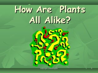 88
How Are PlantsHow Are Plants
All Alike?All Alike?
copyright cmassengalecopyright cmassengale
 