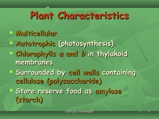 99
Plant CharacteristicsPlant Characteristics
 MulticellularMulticellular
 AutotrophicAutotrophic (photosynthesis)(photosynthesis)
 ChlorophyllsChlorophylls aa andand bb in thylakoidin thylakoid
membranesmembranes
 Surrounded bySurrounded by cell wallscell walls containingcontaining
cellulose (polysaccharide)cellulose (polysaccharide)
 Store reserve food asStore reserve food as amyloseamylose
(starch)(starch)
copyright cmassengalecopyright cmassengale
 