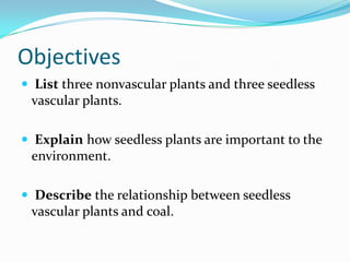 Introduction To Plants