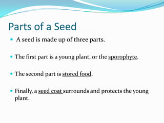 Introduction To Plants