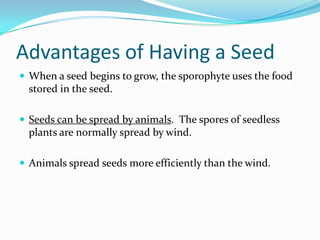 Introduction To Plants