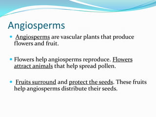 Introduction To Plants