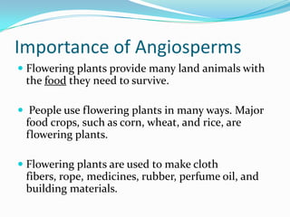 Introduction To Plants