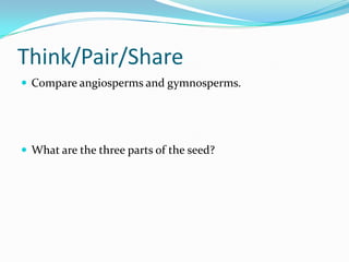 Introduction To Plants