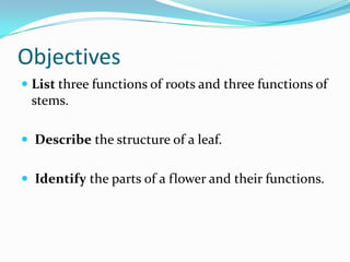 Introduction To Plants