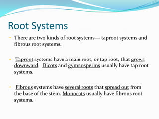 Introduction To Plants