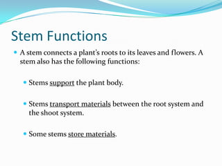 Introduction To Plants