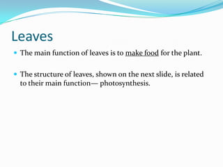 Introduction To Plants