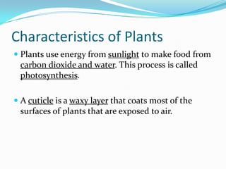 Introduction To Plants