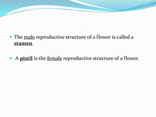 Introduction To Plants