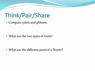 Introduction To Plants