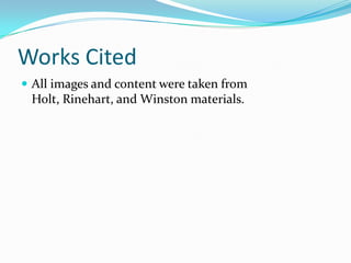 Introduction To Plants