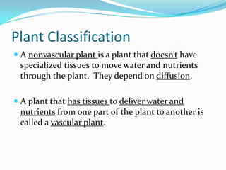 Introduction To Plants