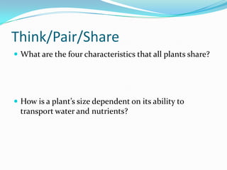 Introduction To Plants