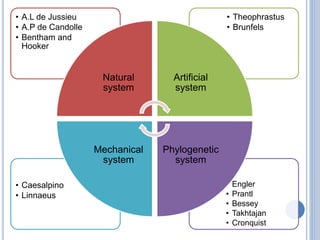 Bessey Classification System INTRODUCTION TO PLANT SYSTEMATICS.pptx