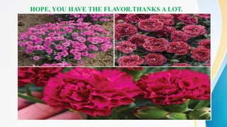 HOPE, YOU HAVE THE FLAVOR.THANKS A LOT.
 