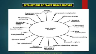 Introduction to plant tissue culture... | PPTX