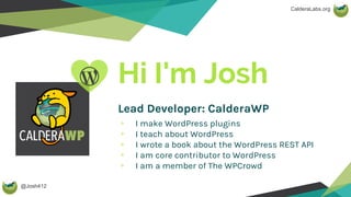 Introduction to plugin development | PDF