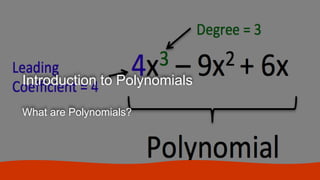 Introduction to Polynomials
What are Polynomials?
 