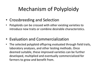 Mechanism of Polyploidy
• Crossbreeding and Selection
• Polyploids can be crossed with other existing varieties to
introduce new traits or combine desirable characteristics.
• Evaluation and Commercialization
• The selected polyploid offspring evaluated through field trails,
laboratory analyses, and other testing methods. Once
deemed suitable, these improved varieties can be further
developed, multiplied and eventually commercialized for
farmers to grow and benefit from.
 