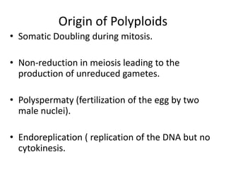 Origin of Polyploids
• Somatic Doubling during mitosis.
• Non-reduction in meiosis leading to the
production of unreduced gametes.
• Polyspermaty (fertilization of the egg by two
male nuclei).
• Endoreplication ( replication of the DNA but no
cytokinesis.
 