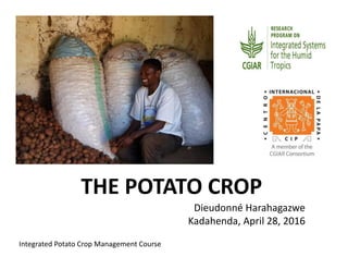 THE POTATO CROP
Dieudonné Harahagazwe
Kadahenda, April 28, 2016
Integrated Potato Crop Management Course
 