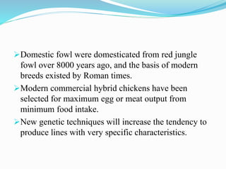Domestic fowl were domesticated from red jungle
fowl over 8000 years ago, and the basis of modern
breeds existed by Roman times.
Modern commercial hybrid chickens have been
selected for maximum egg or meat output from
minimum food intake.
New genetic techniques will increase the tendency to
produce lines with very specific characteristics.
 