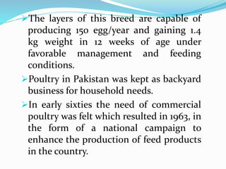 The layers of this breed are capable of
producing 150 egg/year and gaining 1.4
kg weight in 12 weeks of age under
favorable management and feeding
conditions.
Poultry in Pakistan was kept as backyard
business for household needs.
In early sixties the need of commercial
poultry was felt which resulted in 1963, in
the form of a national campaign to
enhance the production of feed products
in the country.
 