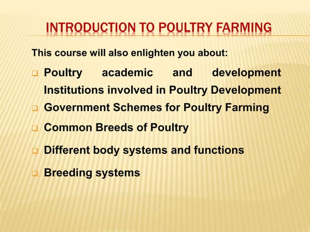 poultry farm essay
