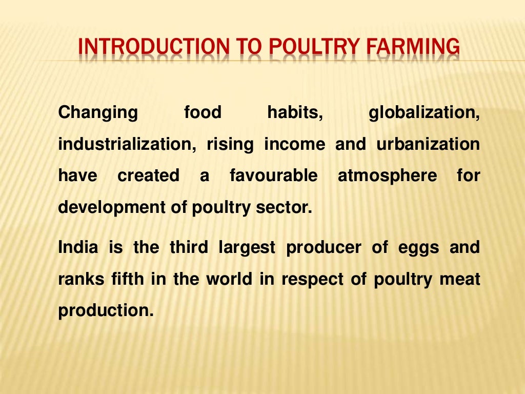 poultry farm essay