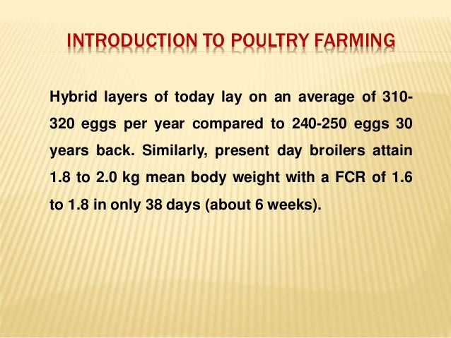 Importance of poultry farming picture