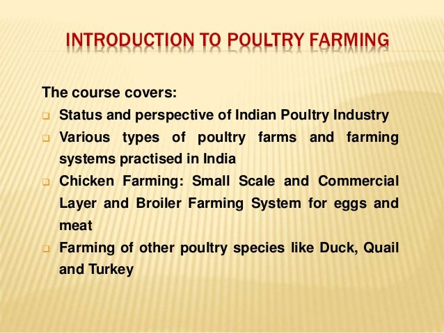 Business plan for poultry farm ppt picture