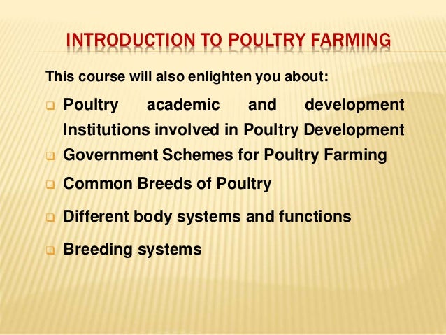 New research topics in poultry nutrition picture