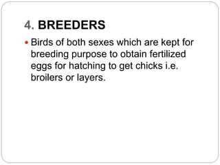 4. BREEDERS
 Birds of both sexes which are kept for
breeding purpose to obtain fertilized
eggs for hatching to get chicks i.e.
broilers or layers.
 