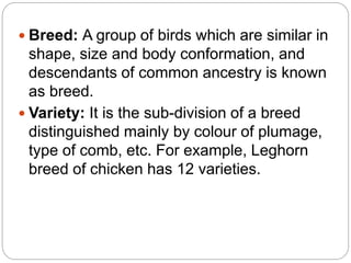  Breed: A group of birds which are similar in
shape, size and body conformation, and
descendants of common ancestry is known
as breed.
 Variety: It is the sub-division of a breed
distinguished mainly by colour of plumage,
type of comb, etc. For example, Leghorn
breed of chicken has 12 varieties.
 