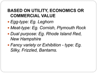 BASED ON UTILITY, ECONOMICS OR
COMMERCIAL VALUE
 Egg-type: Eg. Leghorn
 Meat-type: Eg. Cornish, Plymouth Rock
 Dual purpose: Eg. Rhode Island Red,
New Hampshire
 Fancy variety or Exhibition - type: Eg.
Silky, Frizzled, Bantams.
 