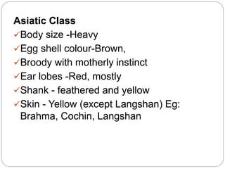 Asiatic Class
Body size -Heavy
Egg shell colour-Brown,
Broody with motherly instinct
Ear lobes -Red, mostly
Shank - feathered and yellow
Skin - Yellow (except Langshan) Eg:
Brahma, Cochin, Langshan
 