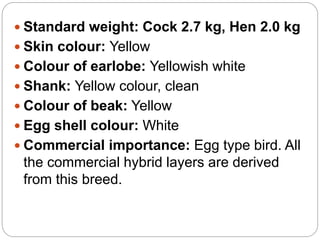  Standard weight: Cock 2.7 kg, Hen 2.0 kg
 Skin colour: Yellow
 Colour of earlobe: Yellowish white
 Shank: Yellow colour, clean
 Colour of beak: Yellow
 Egg shell colour: White
 Commercial importance: Egg type bird. All
the commercial hybrid layers are derived
from this breed.
 
