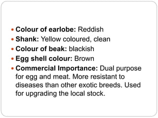  Colour of earlobe: Reddish
 Shank: Yellow coloured, clean
 Colour of beak: blackish
 Egg shell colour: Brown
 Commercial Importance: Dual purpose
for egg and meat. More resistant to
diseases than other exotic breeds. Used
for upgrading the local stock.
 